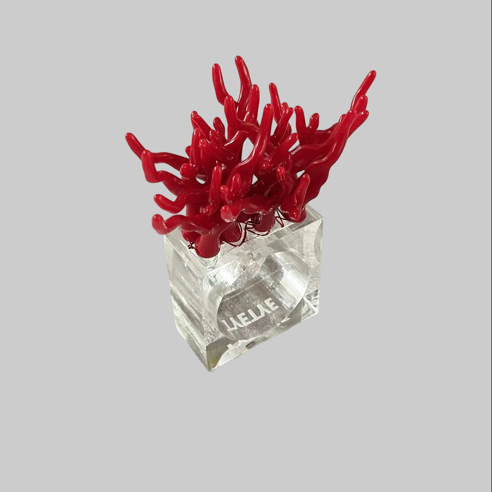 "Vibrant coral napkin rings enhancing a coastal dining table setting."
